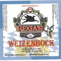 pegas 06
