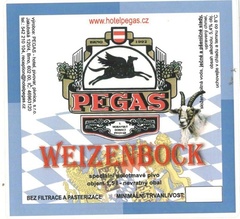 pegas 06.jpg